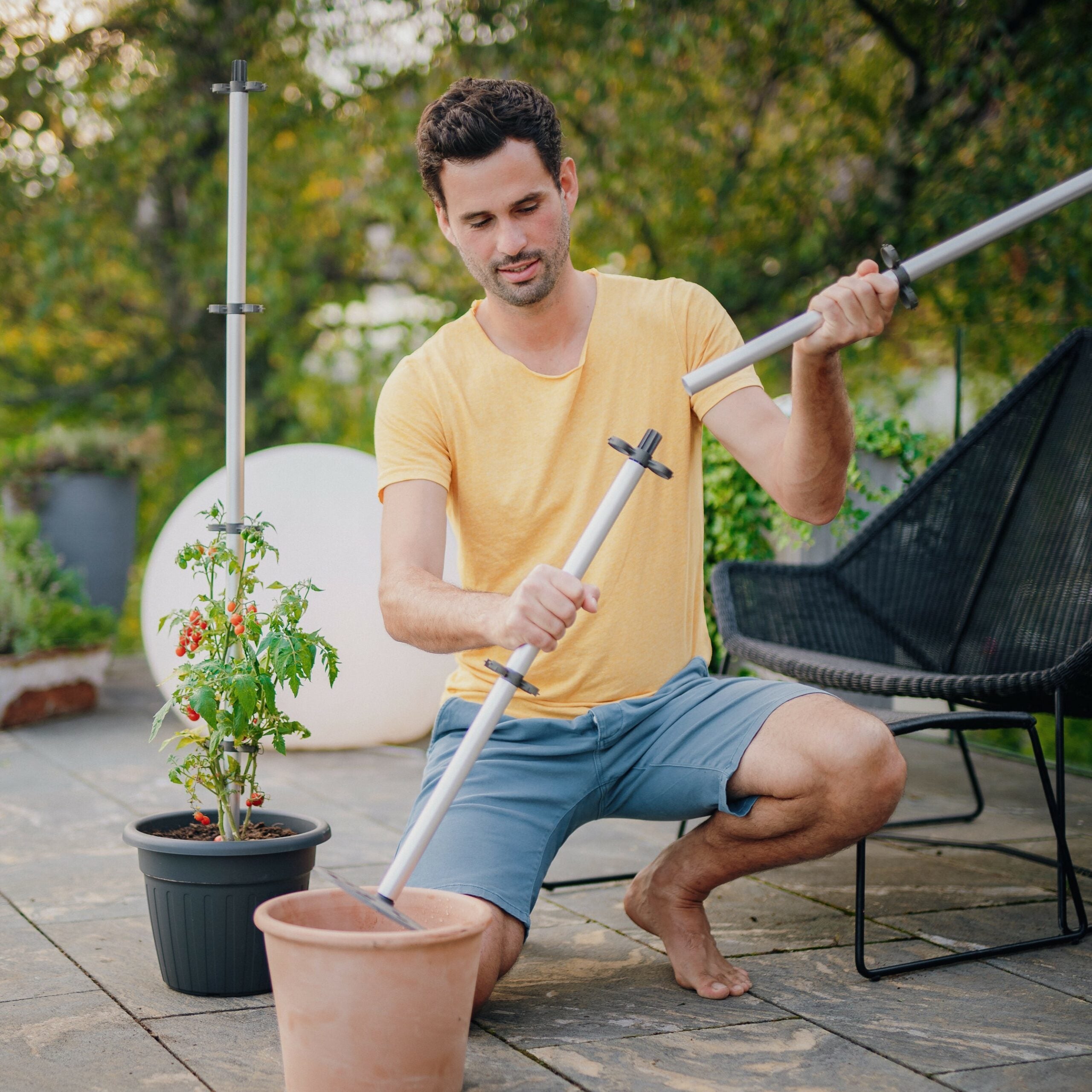 TOMATO BUDDY, the climbing support for every planter