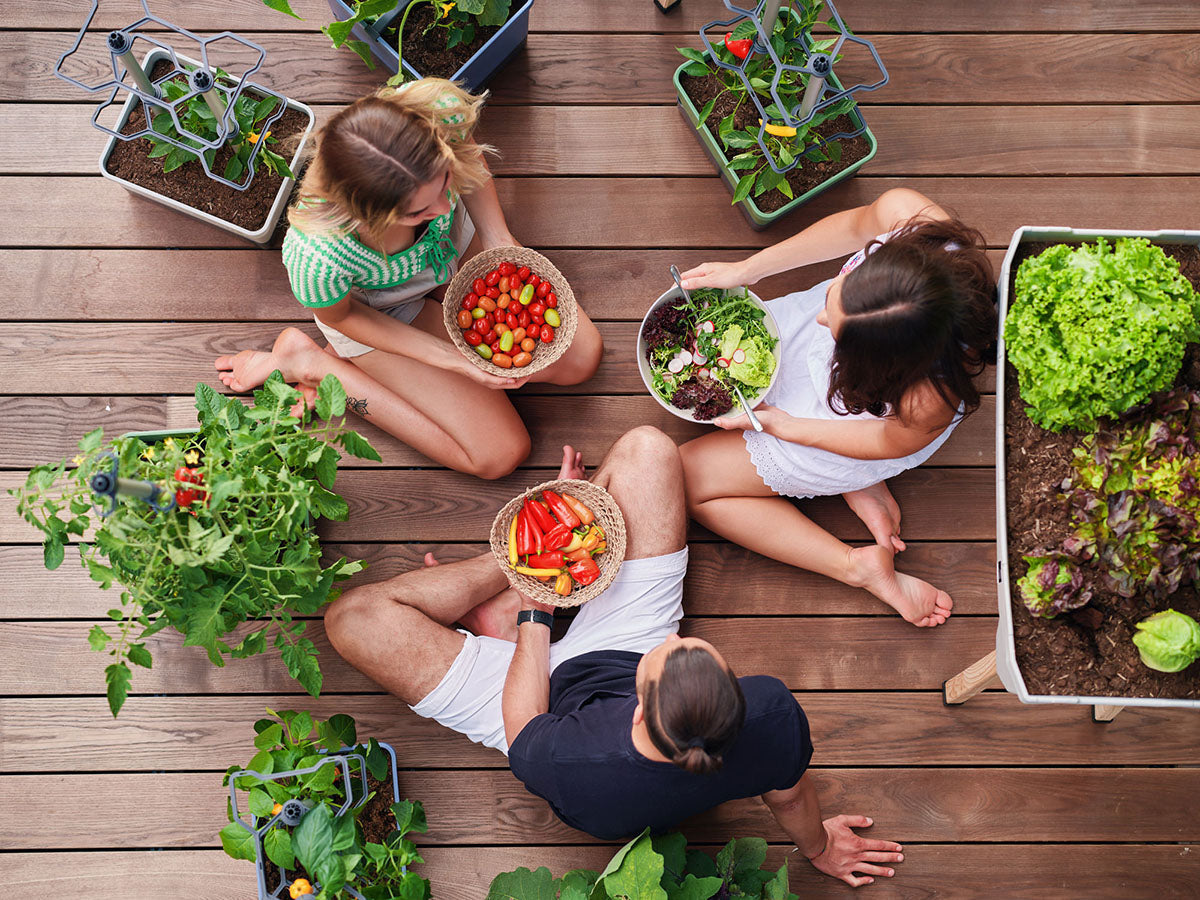 Balkongarten für Anfänger: 5 Pflanzen, die (fast) jeder hinkriegt