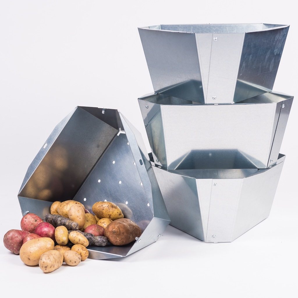 PAUL POTATO starter including tray