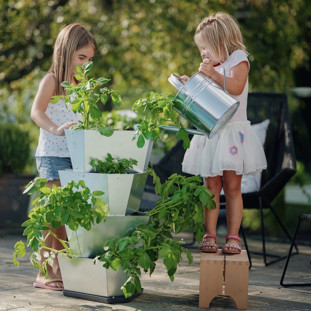 PAUL POTATO starter including tray
