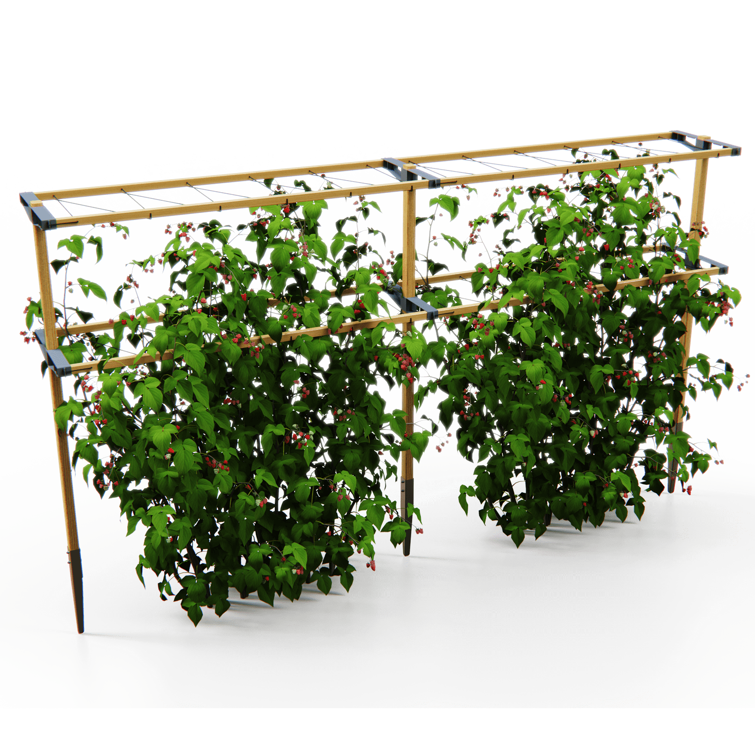 Extension for BERRY BUDDY