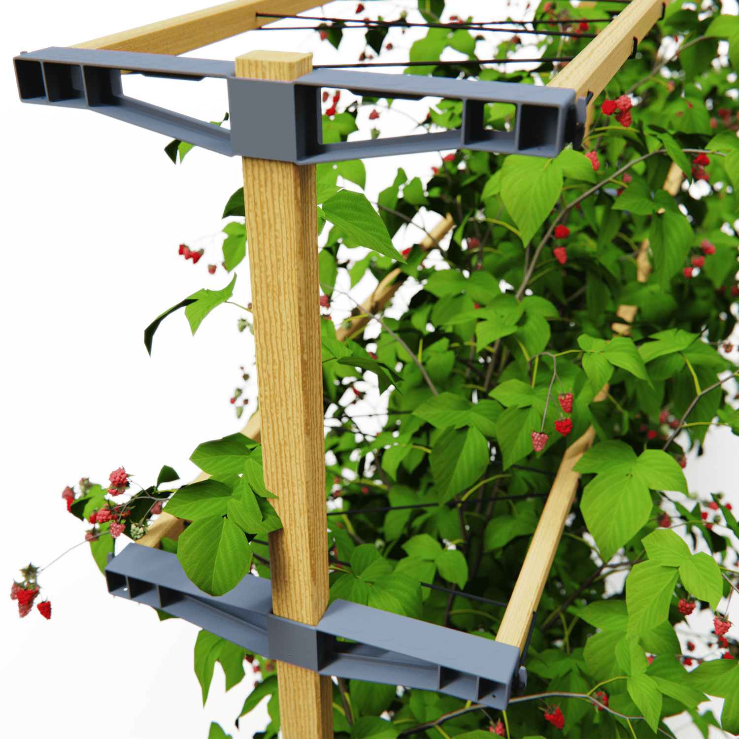 Extension for BERRY BUDDY