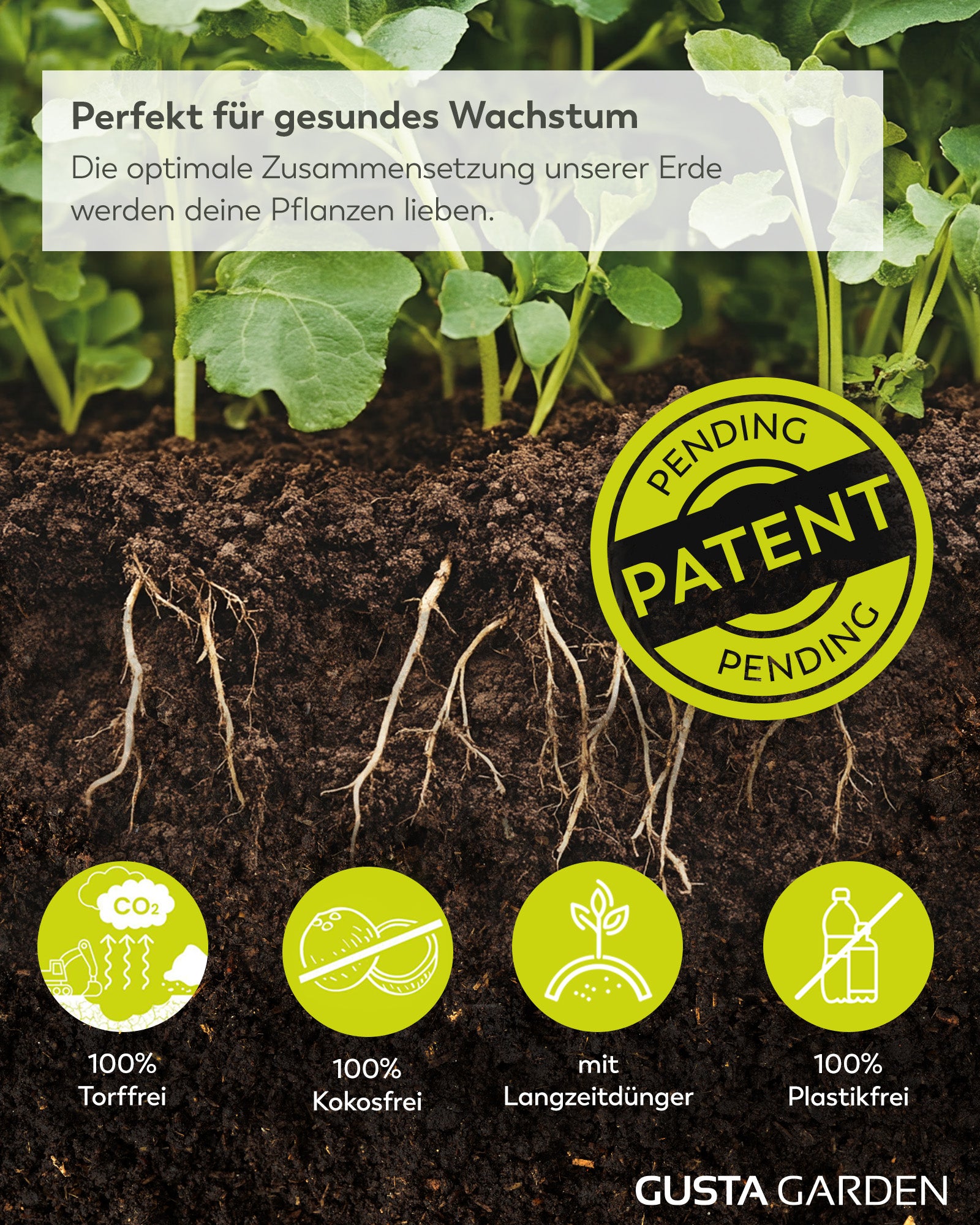 Urban Gardening Gemüseerde