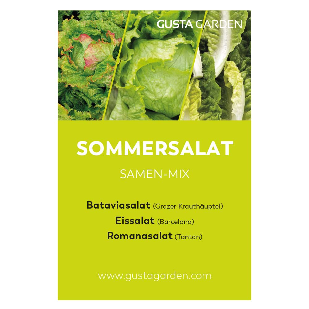 Sommersalat Samen-Mix