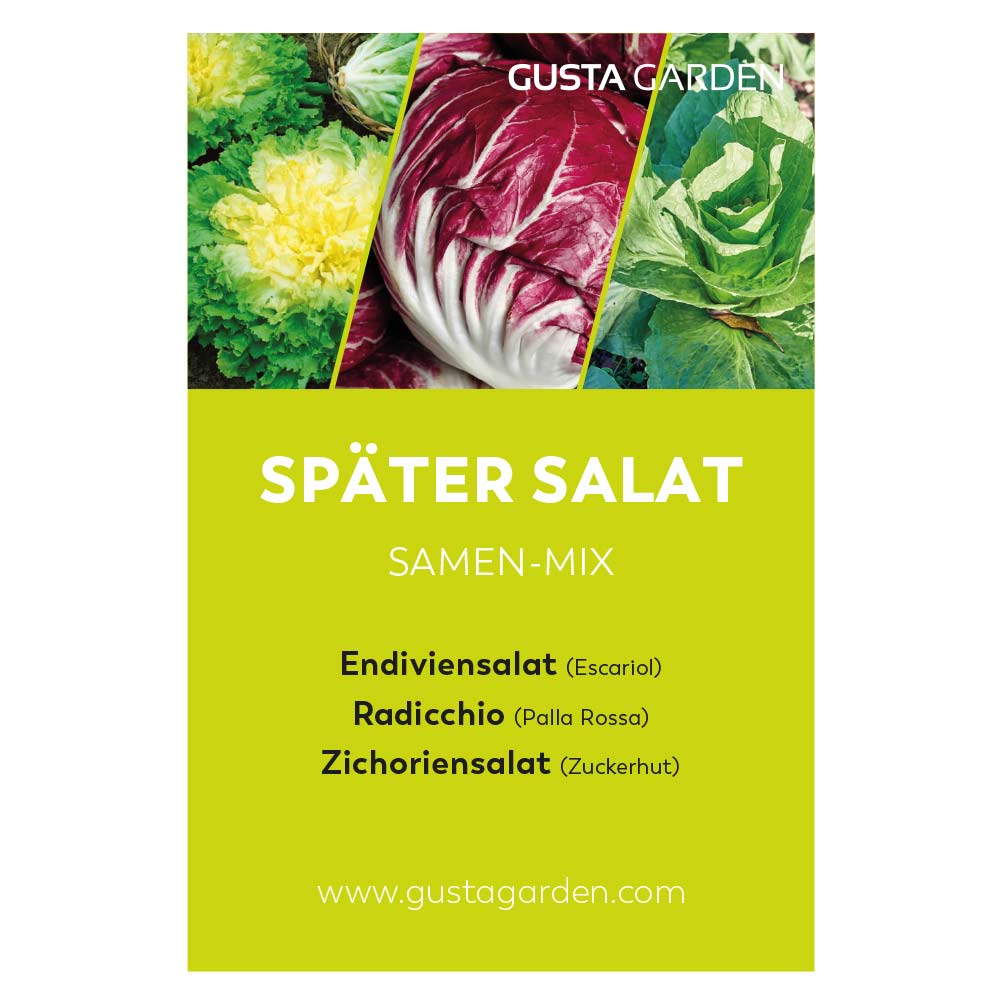 SAMMY SALAD Komplett-Set