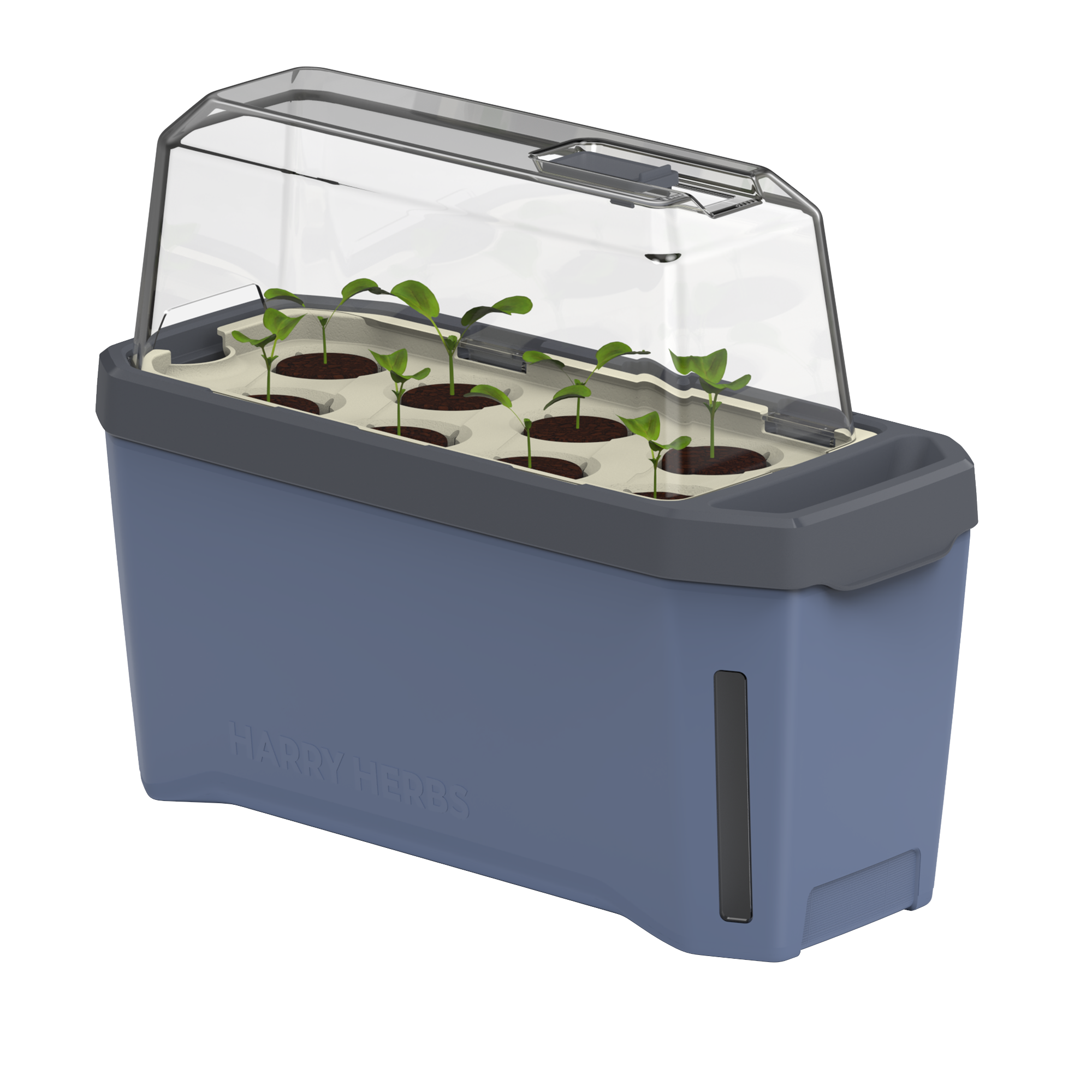 HARRY HERBS Microgreens Super Bundle (Doppelpack)