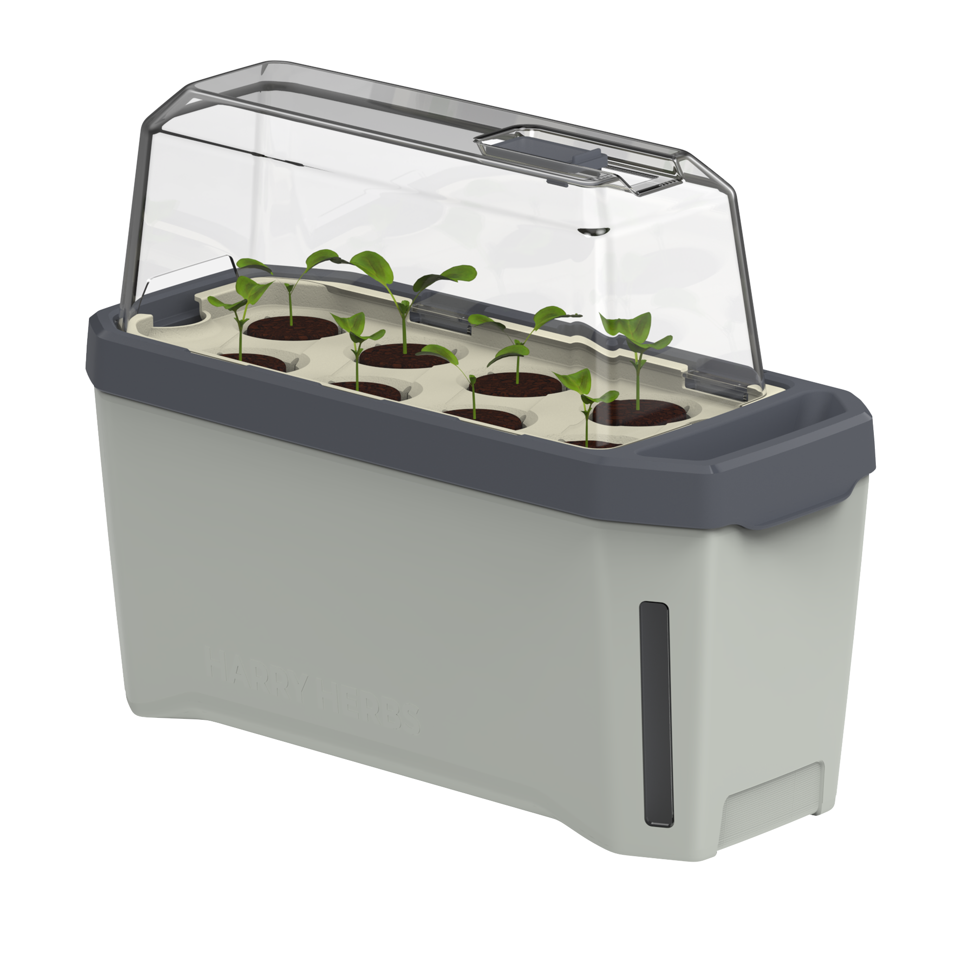 HARRY HERBS Microgreens Super Bundle (Doppelpack)