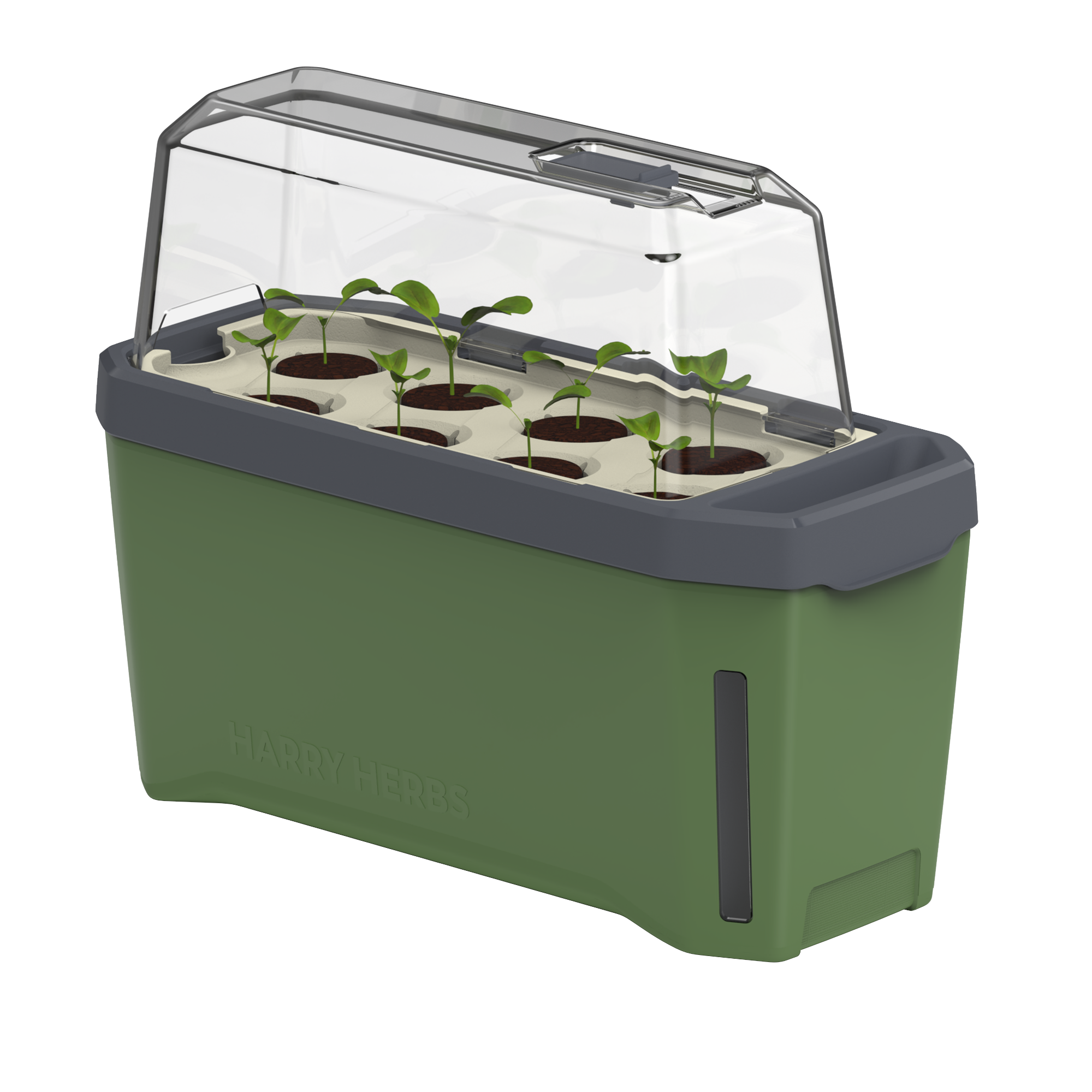 HARRY HERBS Microgreens Super Bundle (Doppelpack)