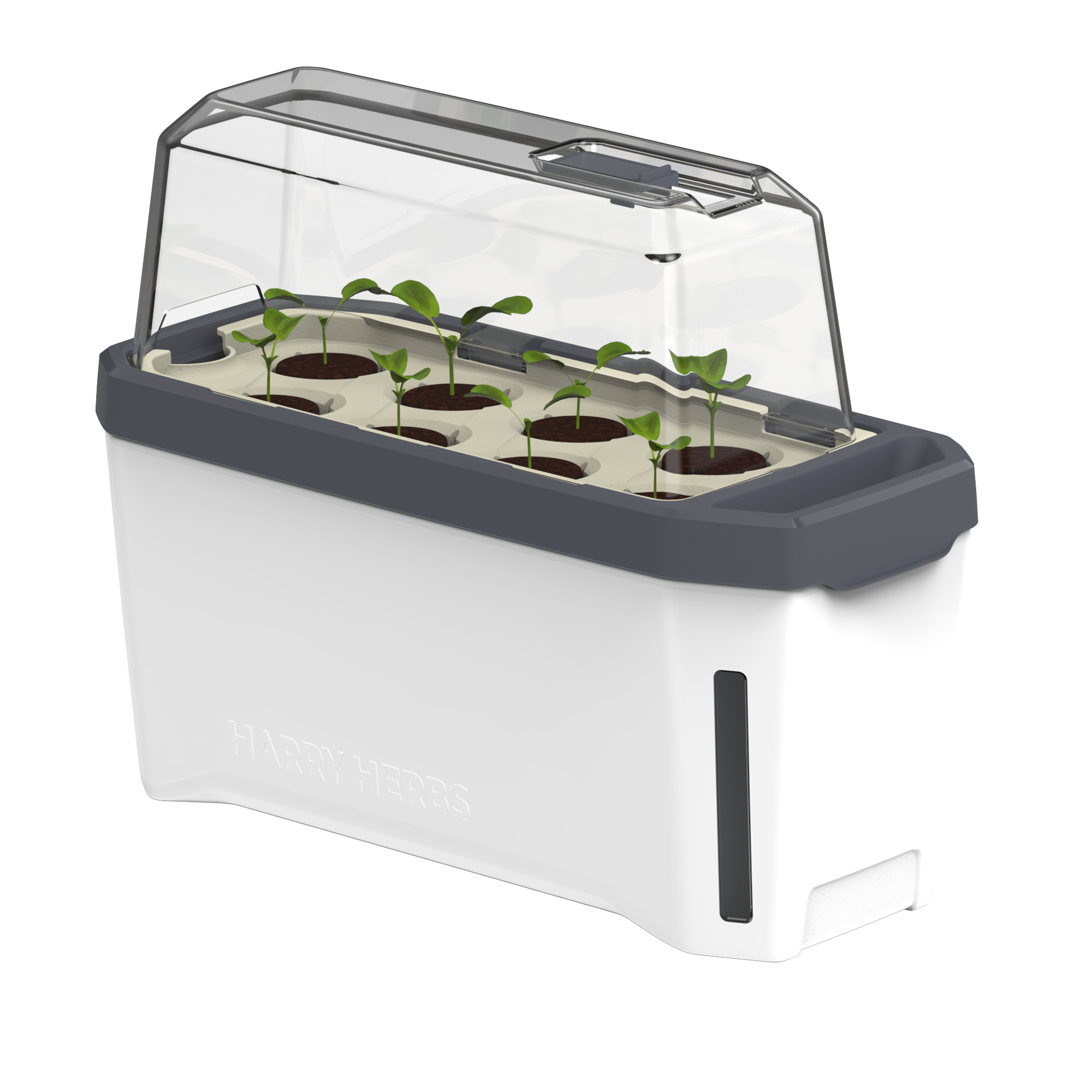 HARRY HERBS Microgreens Super Bundle (Doppelpack)