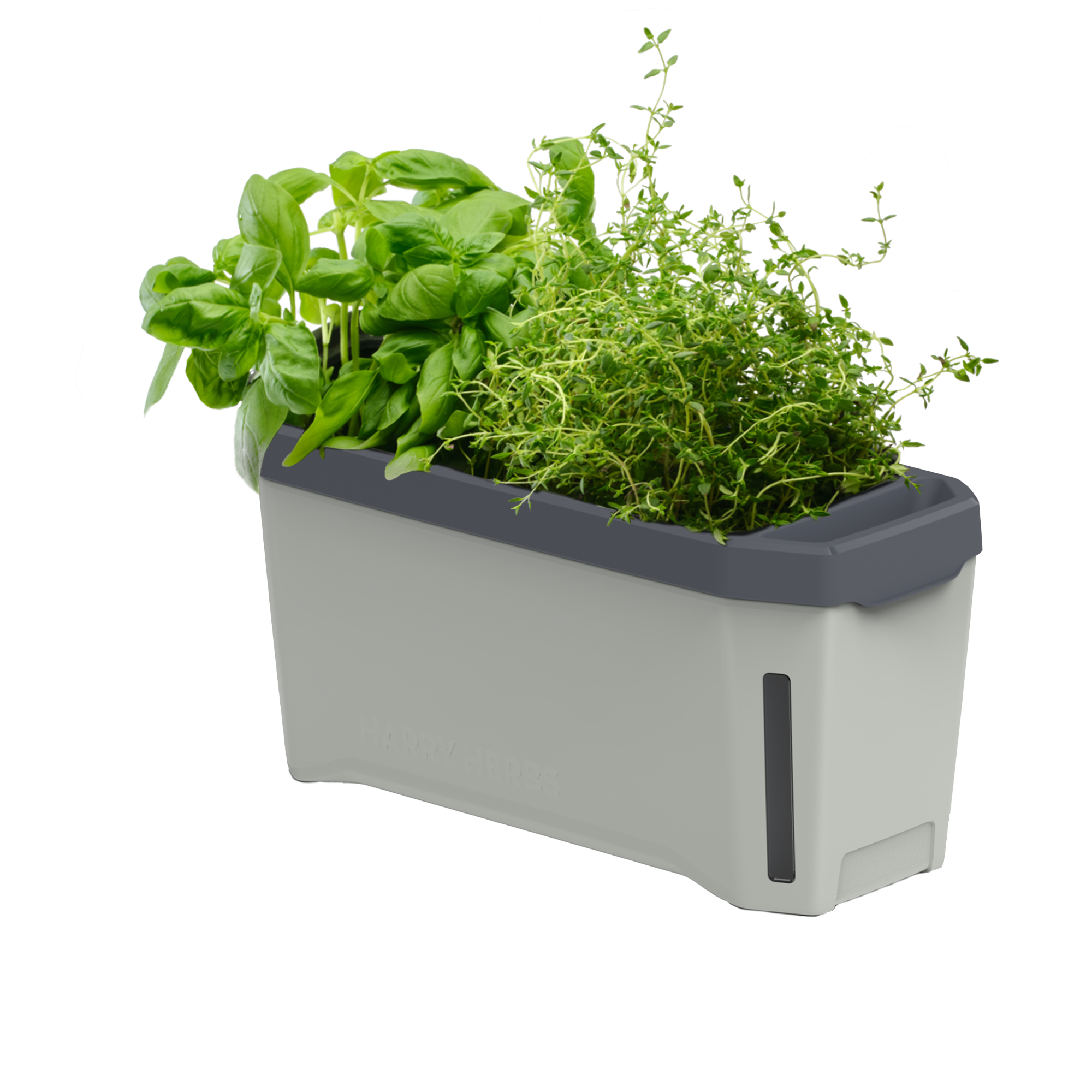 HARRY HERBS Microgreens Super Bundle (Doppelpack)
