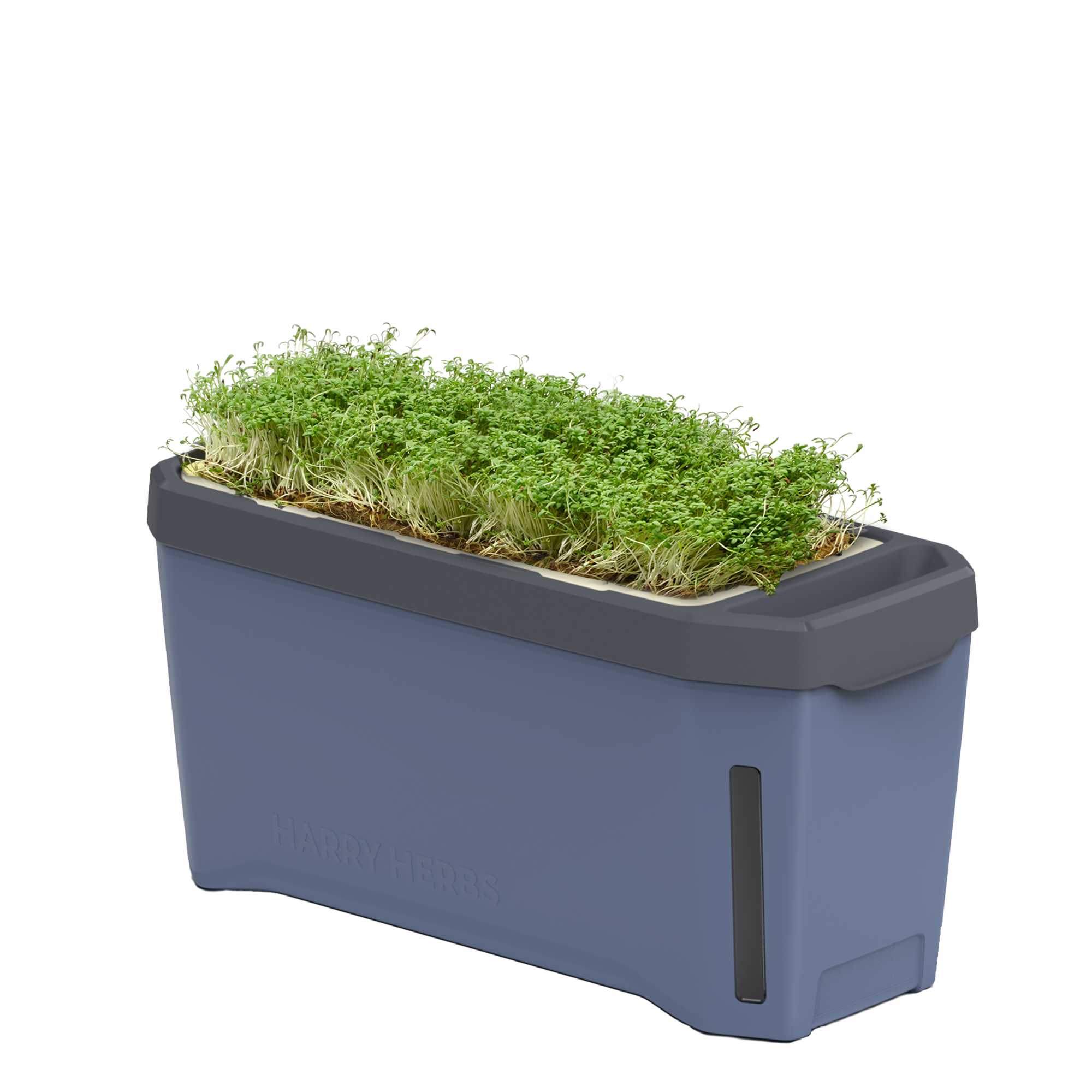 HARRY HERBS Microgreens Bundle