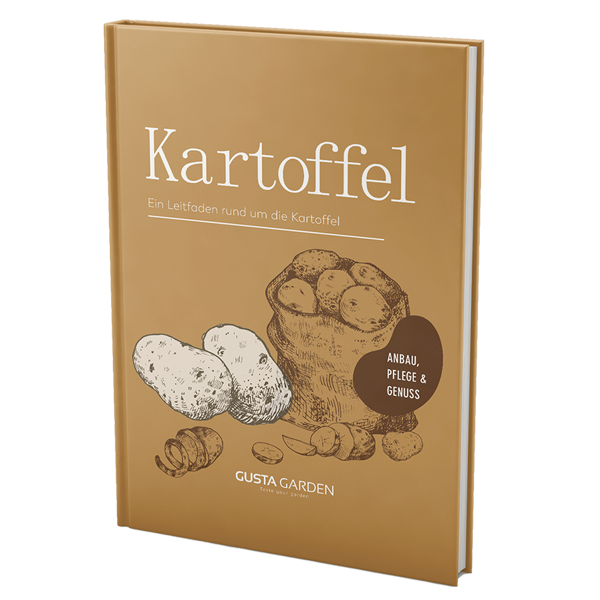 Tomato - A guide to all things tomato