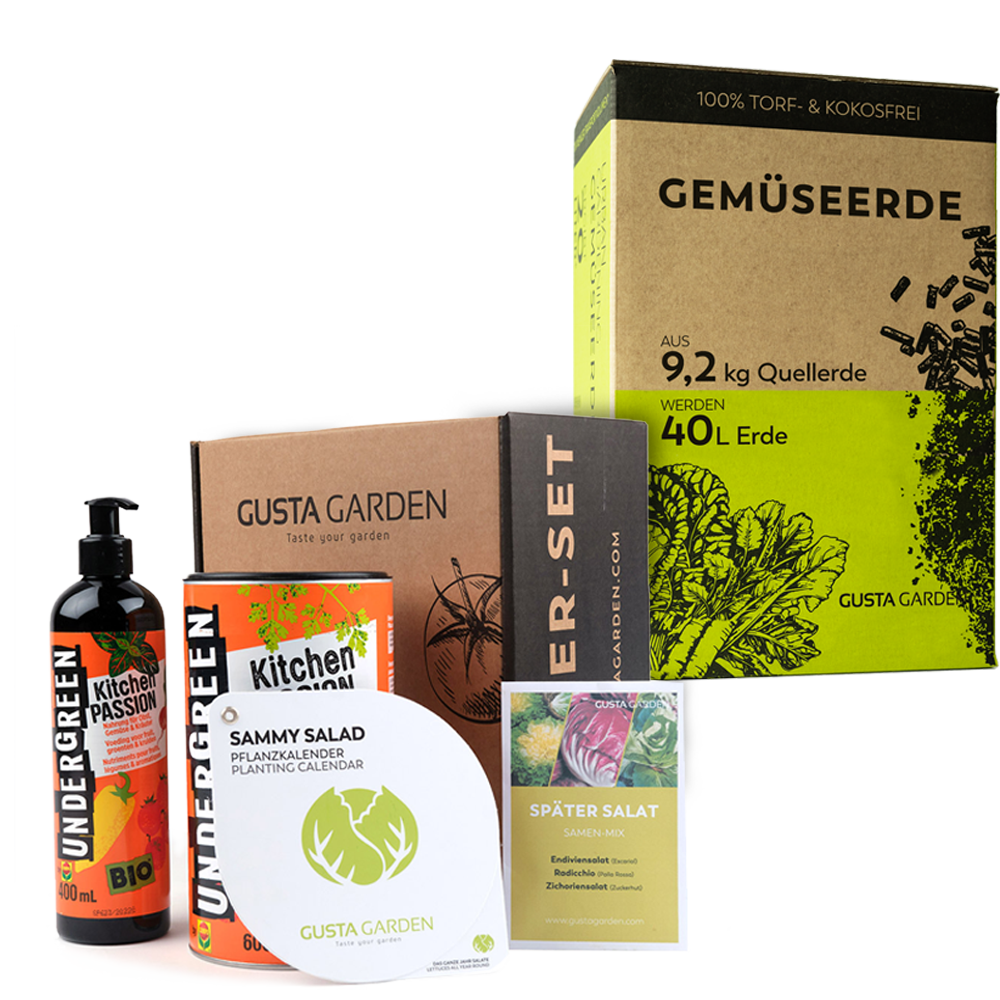 Nachfüll-Set für SAMMY SALAD