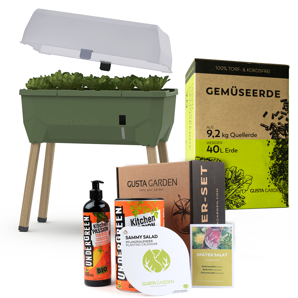 SAMMY SALAD Komplett-Set
