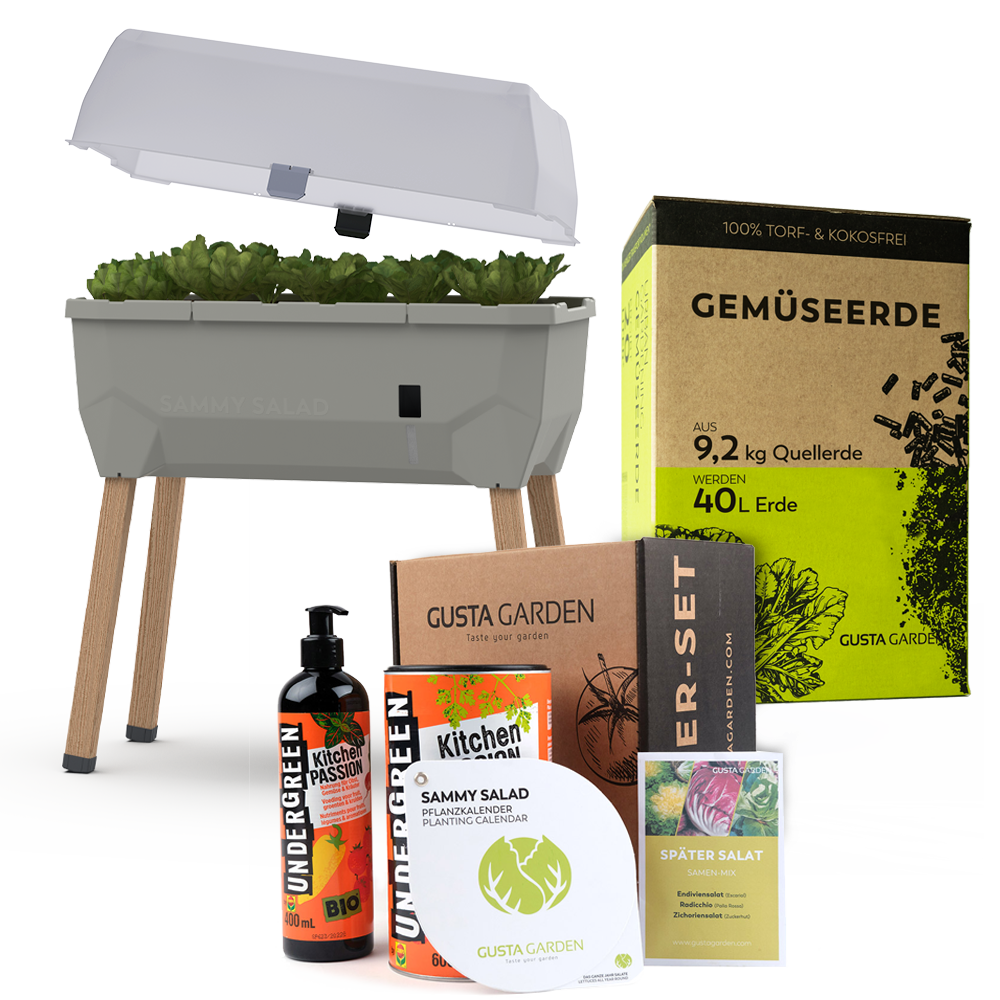 SAMMY SALAD Komplett-Set