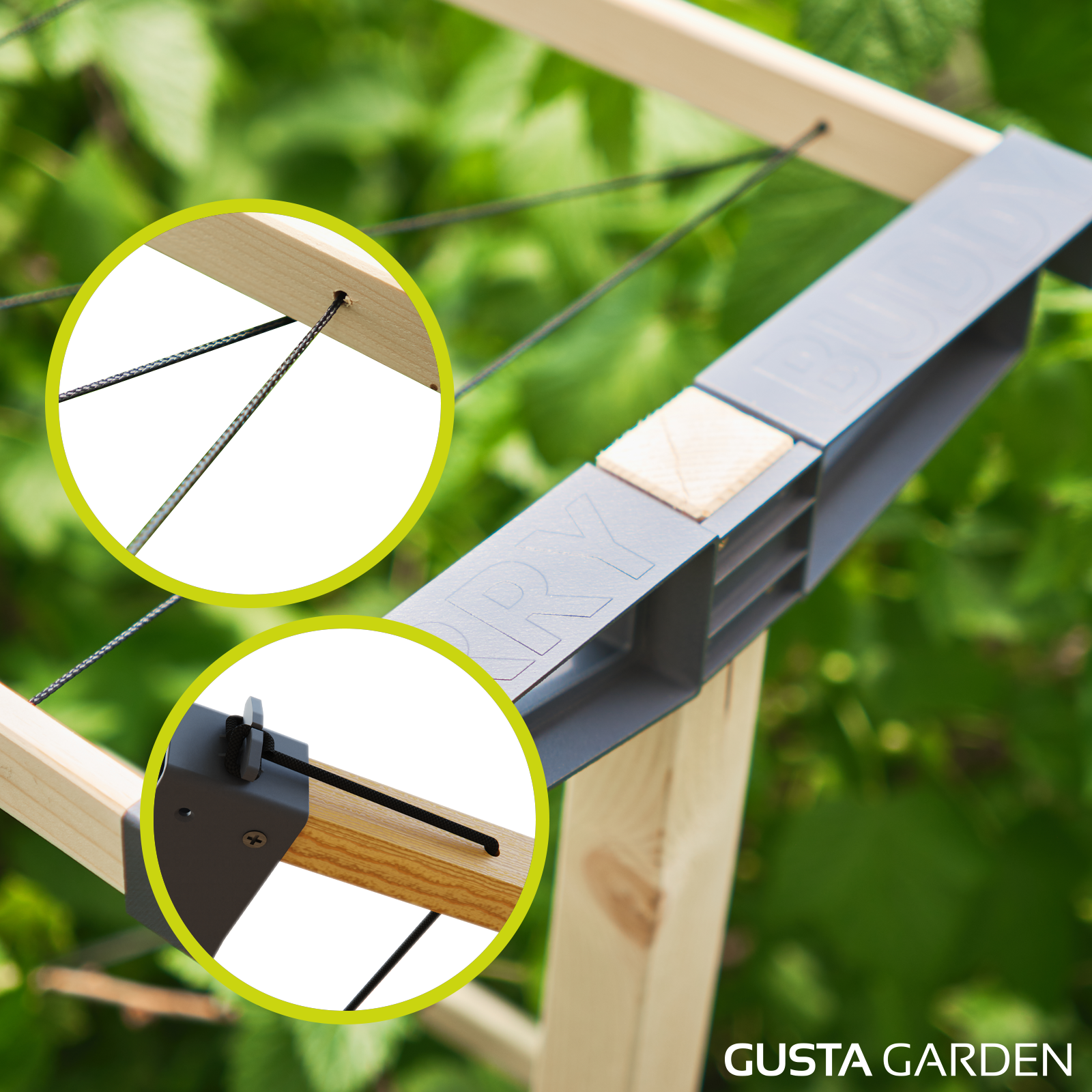 Extension for BERRY BUDDY