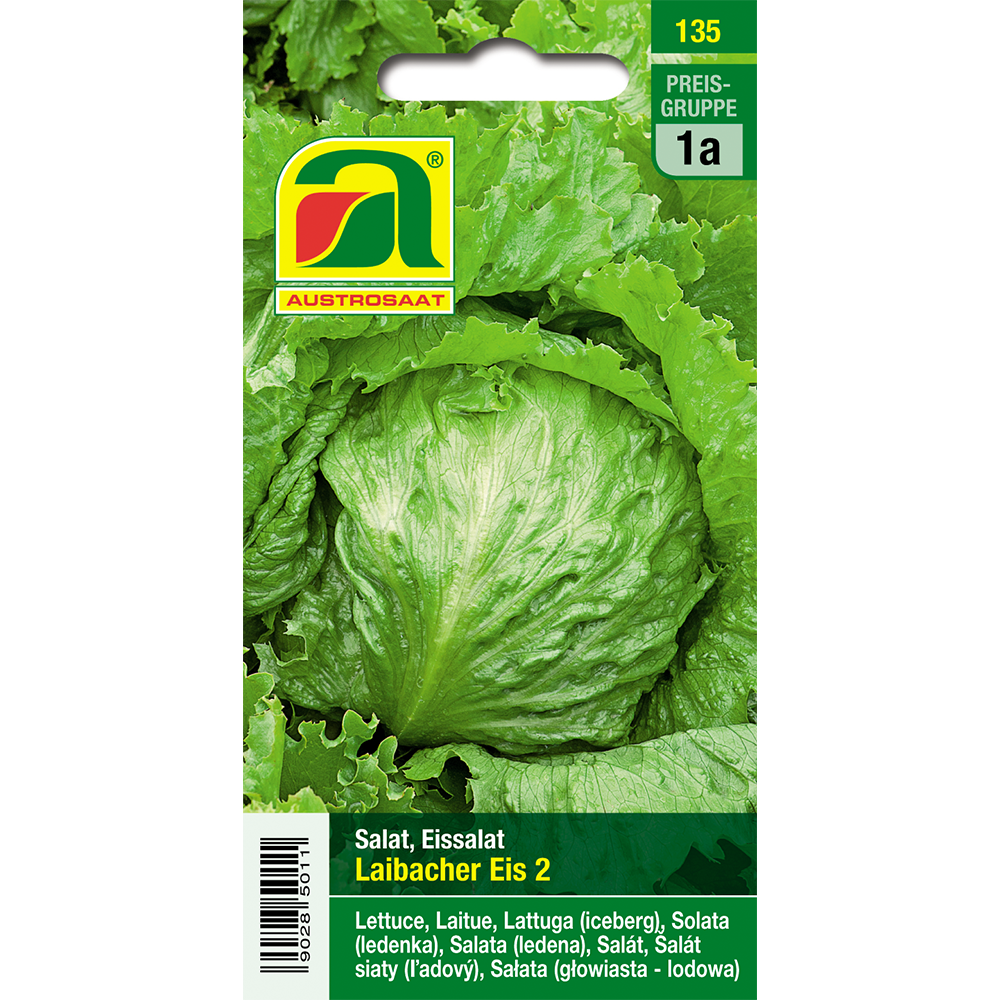 Austrosaat salad Laibacher ice cream 2