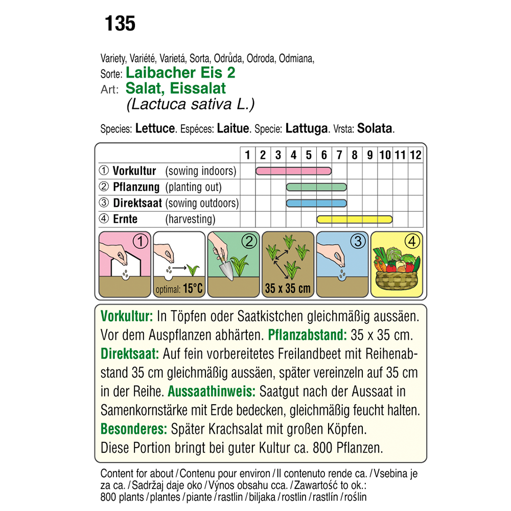 Austrosaat Salat Laibacher Eis 2