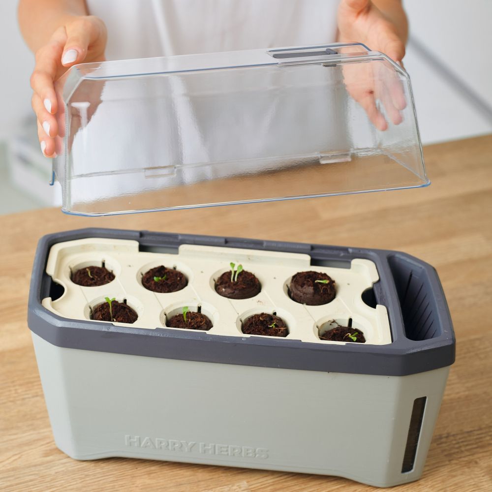 HARRY HERBS Microgreens Super Bundle (Doppelpack)