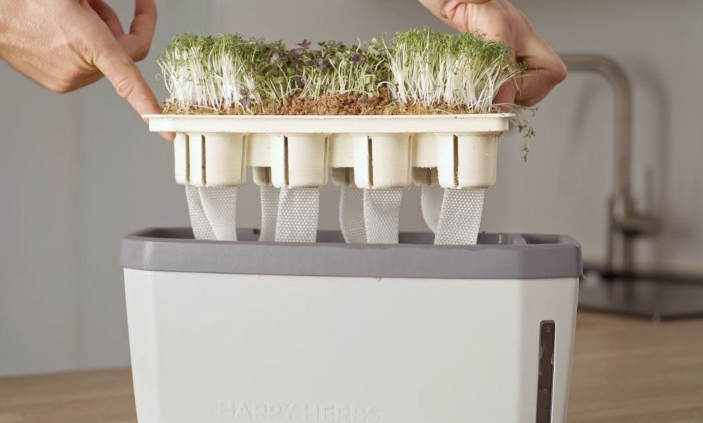 Irrigation wicks for HARRY HERBS (12 pcs.)