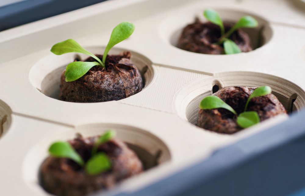 Coconut tablets 16 pieces.