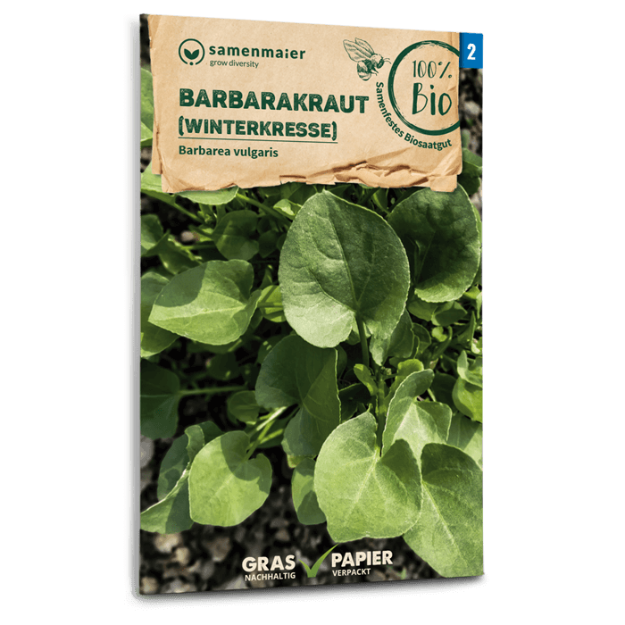 Samen Maier Barbarakraut (Winterkresse)
