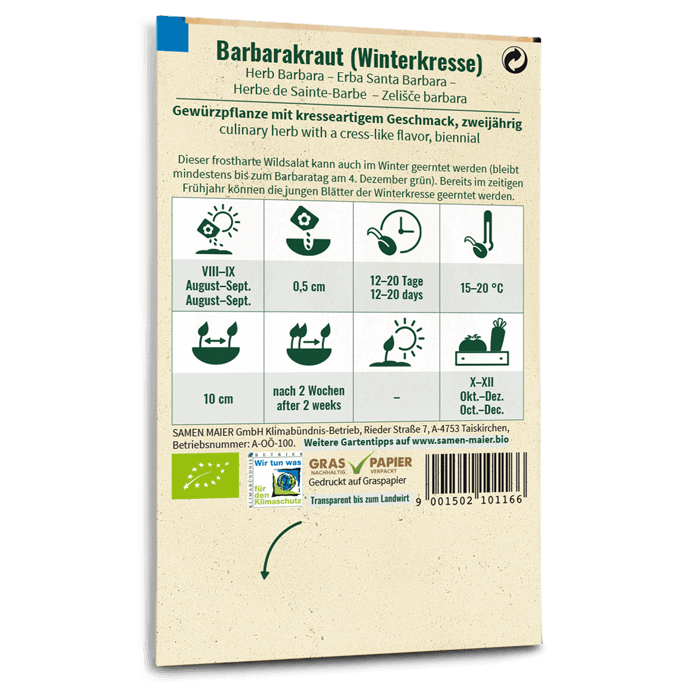 Samen Maier Barbarakraut (Winterkresse)