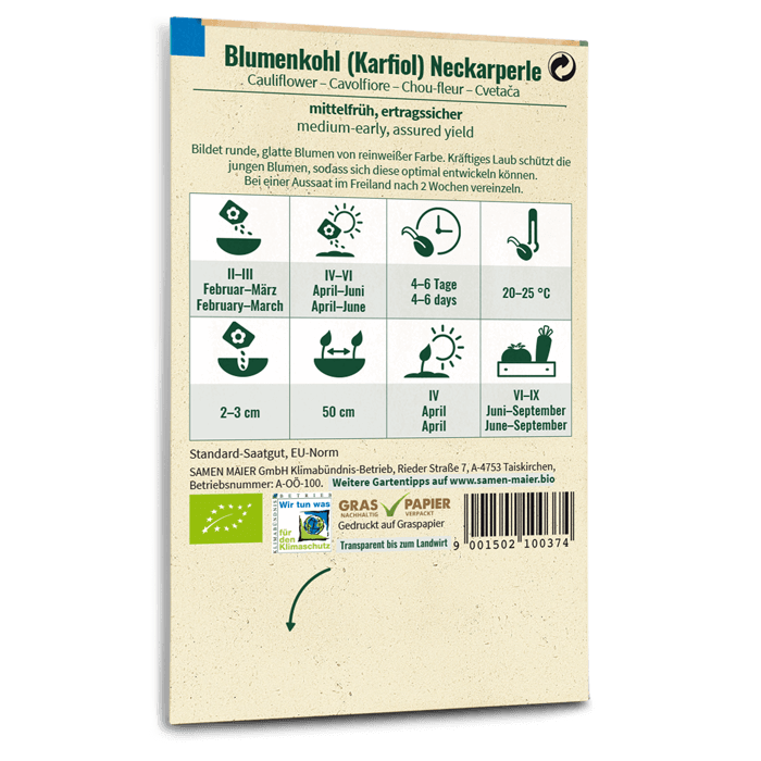 Samen Maier Blumenkohl (Karfiol), Neckarperle