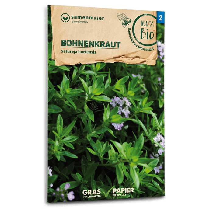 Samen Maier Bohnenkraut