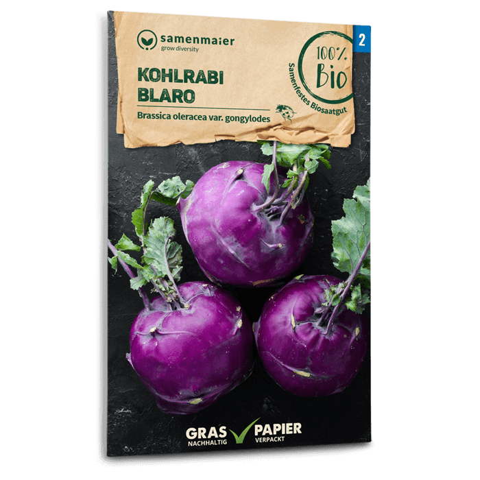 Samen Maier Kohlrabi, Blaro
