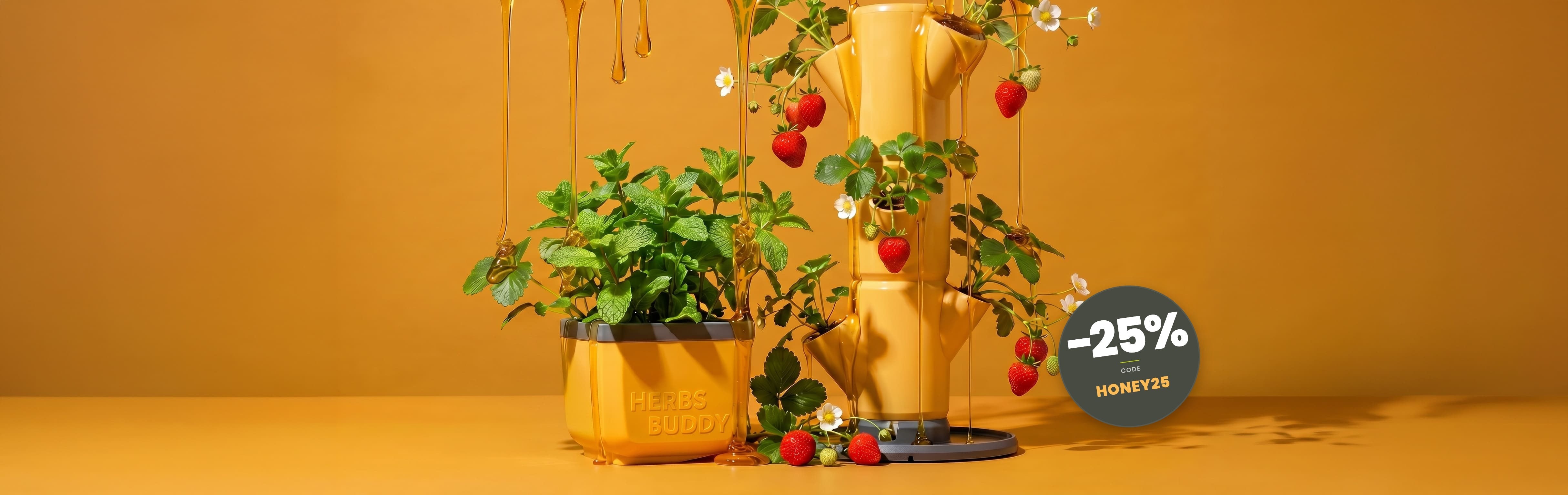 Honey Edition