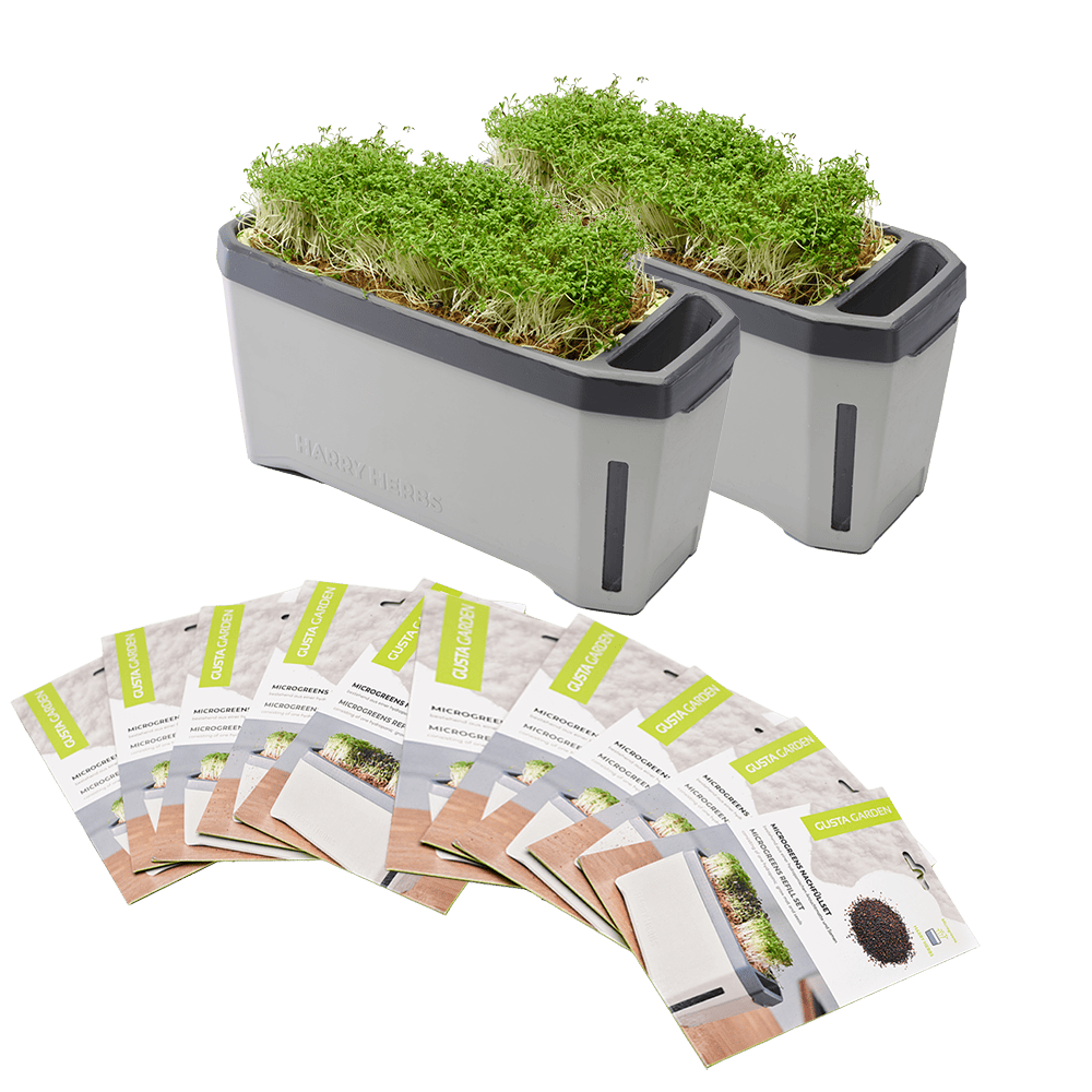 HARRY HERBS Microgreens Super Bundle (Doppelpack)
