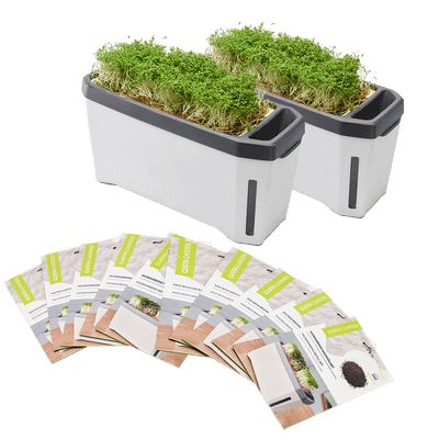 HARRY HERBS Microgreens Bundle