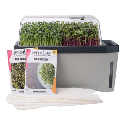HARRY HERBS Microgreens Bundle