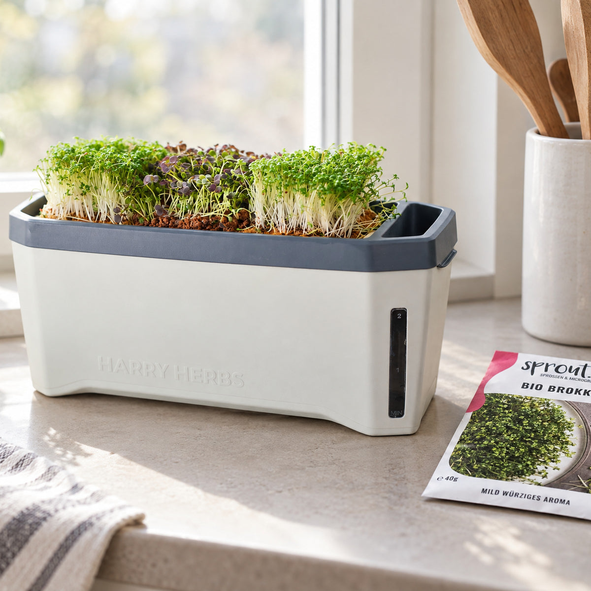 HARRY HERBS Microgreens auf der Fensterbank mit sprout.ing Saatgut