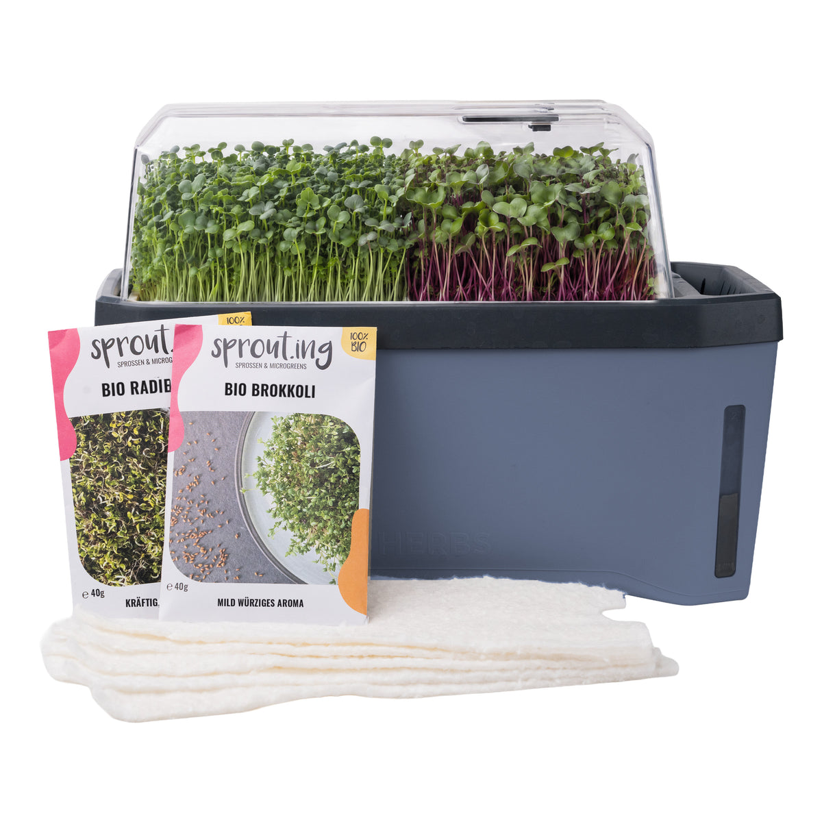 HARRY HERBS Microgreens Bundle Blau