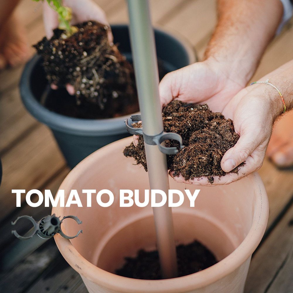 den Aufbau BUDDY Anleitung für Garden TOMATO - Gusta